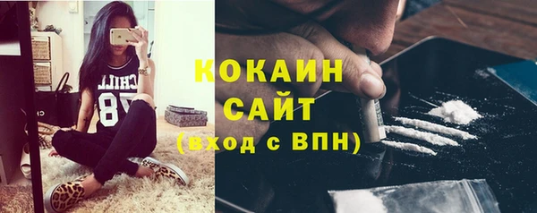 прущая мука Арсеньев