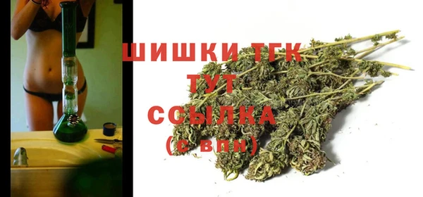 стафф Аркадак