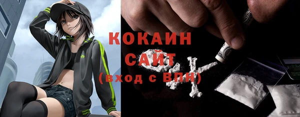 стафф Аркадак